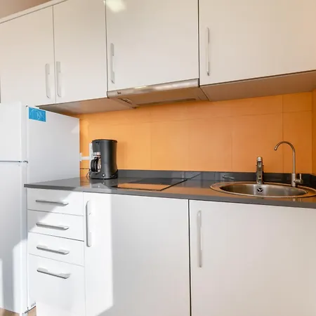 Palmeras 2 Planta 3 Apartment